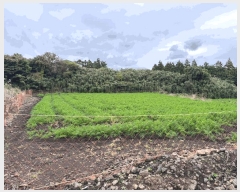  2025Ÿ��1806 ���� ���ֽ� ������ �۴縮 1107-8      ����(�Ӿ�)���