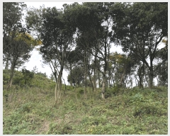  2025Ÿ��1806 ���� ���ֽ� ������ �۴縮 1107-8      ����(�Ӿ�)���