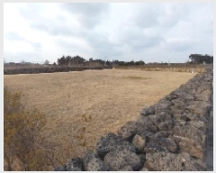  2025Ÿ6501  ֽ  ۴縮 2836-4      ()