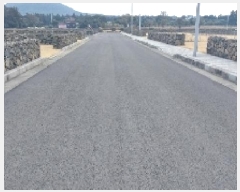  2025Ÿ6501  ֽ  ۴縮 2836-4      ()