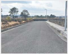  2025Ÿ6501  ֽ  ۴縮 2836-4      ()