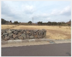  2025Ÿ6501  ֽ  ۴縮 2836-4      ()