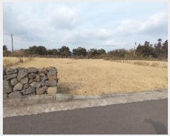  2025Ÿ��6525 ���� ���ֽ� ������ �۴縮 2837      ��Ÿ�������