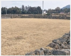  2025Ÿ��6525 ���� ���ֽ� ������ �۴縮 2837      ��Ÿ�������