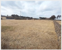  2025Ÿ��6525 ���� ���ֽ� ������ �۴縮 2837      ��Ÿ�������