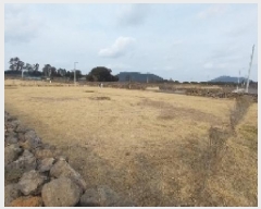  2025Ÿ��6525 ���� ���ֽ� ������ �۴縮 2837      ��Ÿ�������