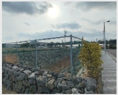  2025Ÿ��6525 ���� ���ֽ� ������ �۴縮 2837      ��Ÿ�������