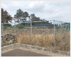  2025Ÿ��6525 ���� ���ֽ� ������ �۴縮 2837      ��Ÿ�������