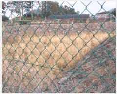  2025Ÿ��6525 ���� ���ֽ� ������ �۴縮 2837      ��Ÿ�������