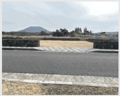  2025Ÿ6549  ֽ  ۴縮 2838-5      ()