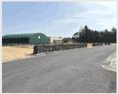  2025Ÿ6549  ֽ  ۴縮 2838-5      ()