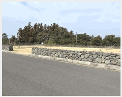  2025Ÿ6600  ֽ  ۴縮 2836-6      ()