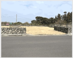  2025Ÿ6600  ֽ  ۴縮 2836-6      ()