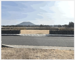  2025Ÿ6617  ֽ  ۴縮 2836-7      ()