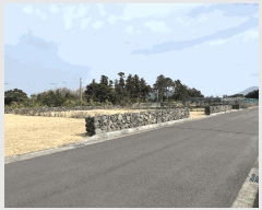  2025Ÿ6617  ֽ  ۴縮 2836-7      ()