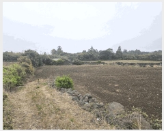  2025Ÿ7604    긮 1381-1      (1)