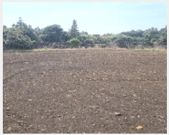  2025Ÿ7604    긮 1381-1      (1)