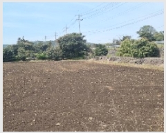  2025Ÿ7604    긮 1381-1      (1)