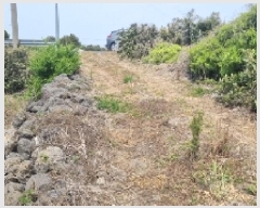  2025Ÿ7604    긮 1381-1      (1)