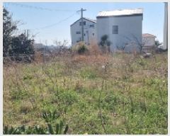  2025Ÿ7656  ֽ õ õ 931-5      (1)