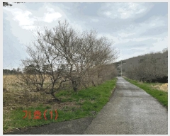  2025Ÿ7728  ֽ õ  623-1      ,â