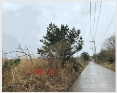  2025Ÿ7728  ֽ õ  623-1      ,â