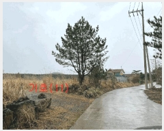  2025Ÿ7728  ֽ õ  623-1      ,â