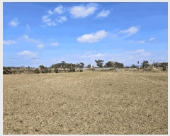  2025Ÿ��7737  �����