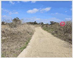  2025Ÿ��7737  �����