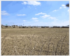  2025Ÿ��7737  �����