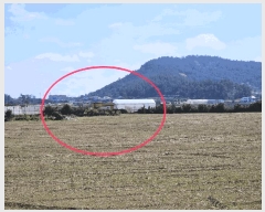  2025Ÿ��7737  �����