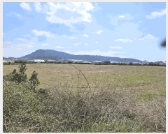  2025Ÿ��7737  �����