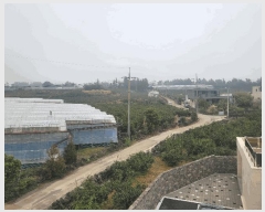  2025Ÿ��7746 ���� �������� �ȴ��� ������ 1978-1      ���ð��