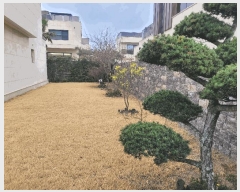  2025Ÿ��7746 ���� �������� �ȴ��� ������ 1978-1      ���ð��