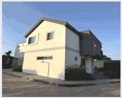  2025Ÿ7800   ǥ ȭ 215 ٹŸϿ콺     ð