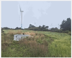  2025Ÿ7836  ֽ Ѱ â 1405      (Ӿ)