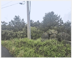  2025Ÿ7836  ֽ Ѱ â 1405      (Ӿ)