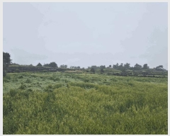  2025Ÿ7836  ֽ Ѱ â 1405      (Ӿ)