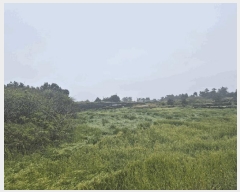  2025Ÿ7836  ֽ Ѱ â 1405      (Ӿ)