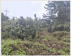  2025Ÿ7836  ֽ Ѱ â 1405      (Ӿ)