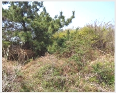  2025Ÿ7836  ֽ Ѱ â 1405      (Ӿ)