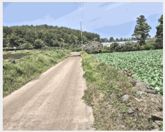  2025Ÿ7873   ǥ õ 404-1      (1)