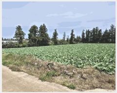  2025Ÿ7873   ǥ õ 404-1      (1)