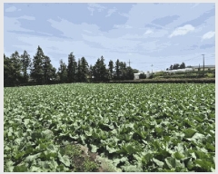  2025Ÿ7873   ǥ õ 404-1      (1)