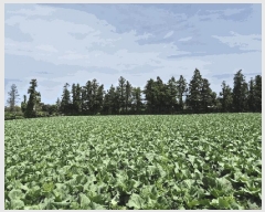  2025Ÿ7873   ǥ õ 404-1      (1)