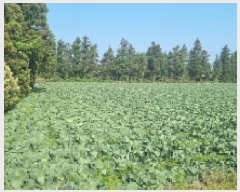  2025Ÿ7873   ǥ õ 404-1      (1)