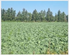  2025Ÿ7873   ǥ õ 404-1      (1)