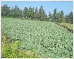  2025Ÿ7873   ǥ õ 404-1      (1)