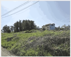  2025Ÿ��7925 ���� ���ֽ� �ֿ��� �����ϸ� 2099      ����(��1)���