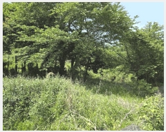  2025Ÿ��7925 ���� ���ֽ� �ֿ��� �����ϸ� 2099      ����(��1)���